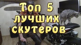 Какой мопед выбрать для рыбалки