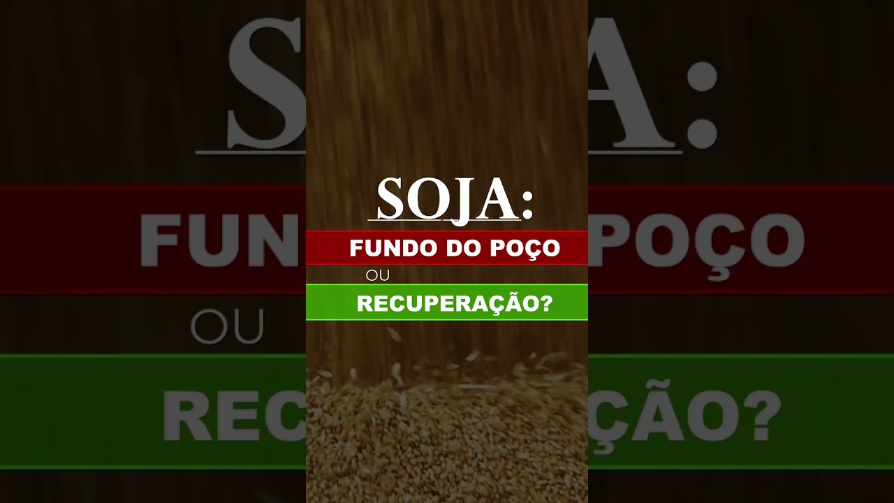 SOJA: FUNDO DO POÇO OU RECUPERAÇÃO?