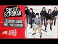 The Radio Birdman Story: Descent Into The Maelstrom | The Chaos of Underground Punk