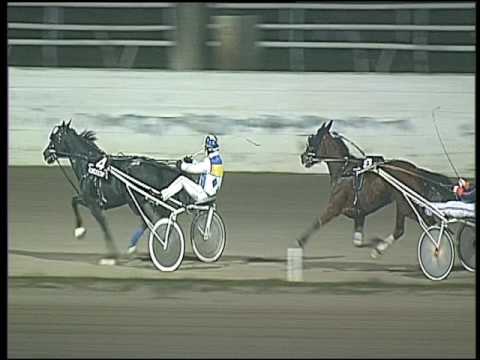 Trotto 31/01/2017 - 7ª corsa