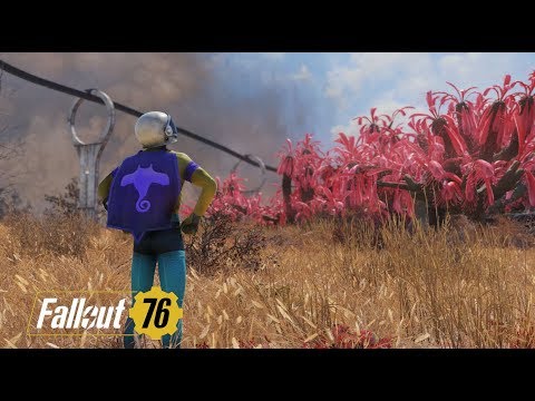 Lvl 222 Super Hero - Fallout 76 - The Gooboberti Way