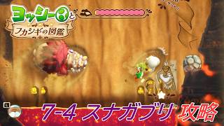 【ヨッシーとフカシギの図鑑】7-4 スナガブリの生息地(何か起きてる？) 調査コンプリート【攻略/switch2】