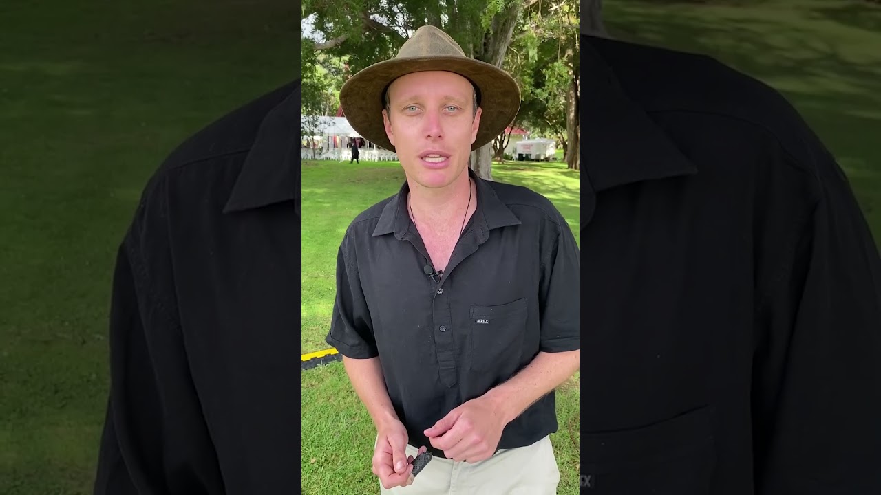 Labour MP Peeni Henare resigns - as Shane Jones claims 'whole story' not being told