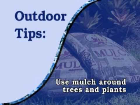 Water Conservation Tips