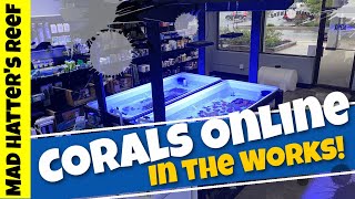 Fish Store Tour, Frag Tanks, And Saltwater Fish!