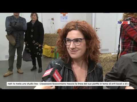 TELEGIORNALE  ore 19.00 del 10 novembre 2018