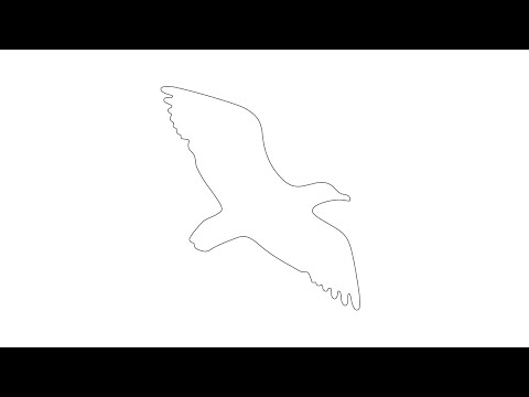 BALTASIS KIRAS - Nidoje