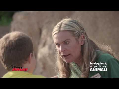Disney Junior - In Viaggio Alla Scoperta degli Animali - Zebre
