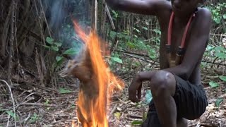 PRIMITIVE TECHNOLOGY: Amazing Wild Animal Hunting, Cooking and Eating Delicious Bush Meat.
