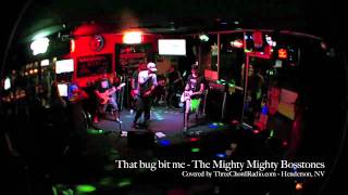 That bug bit me - Bosstones cover by Three Chord Radio @ Gold Mine Tavern Hendo NV