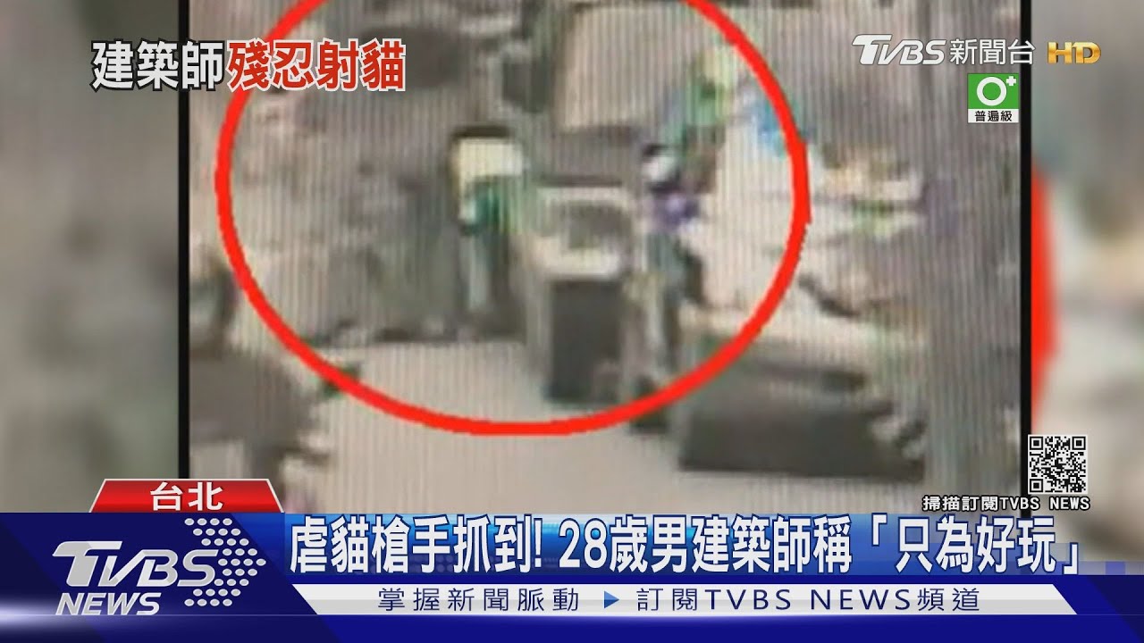 虐貓槍手抓到！28歲男建築師稱「只為好玩」　家中搜出鎮暴槍