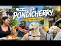 A Perfect Pet Friendly Weekend In Pondicherry Road Trip Resort Food
