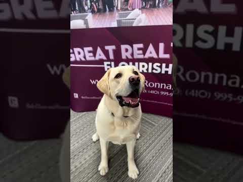 Double career Tucker visited The Bob & Ronna Group today! #SHORTS