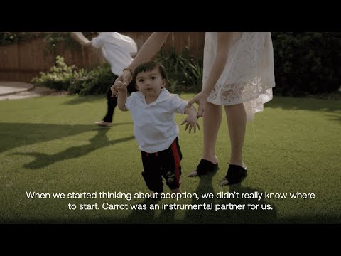 Carrot, Inc. video/presentation/materials