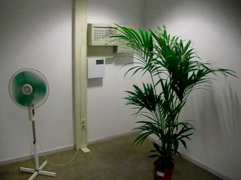 Clemens Neumann - Eindexamenwerk 2010 Kunstacademie Minerva Groningen