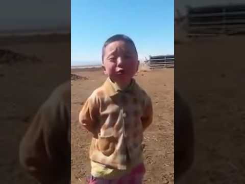 Hitting the funny bone