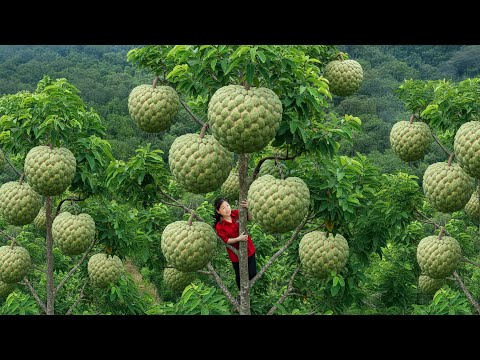 I Spent 28 Days Building a Farm and Harvesting Giant Tropical Fruits 🍈