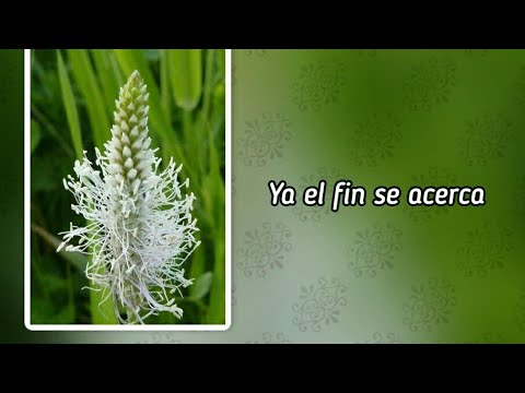 Himnario adventista 549 Ya el fin se acerca (-)