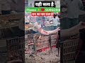 राम का नाम सत्य है Do Din Ka Mela Aaya Bhi Akela Manikarnika Akela Samsa