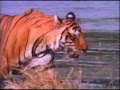 National Geographic Video Trailer