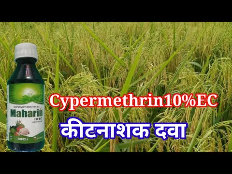 Cypermethrin 10% EC