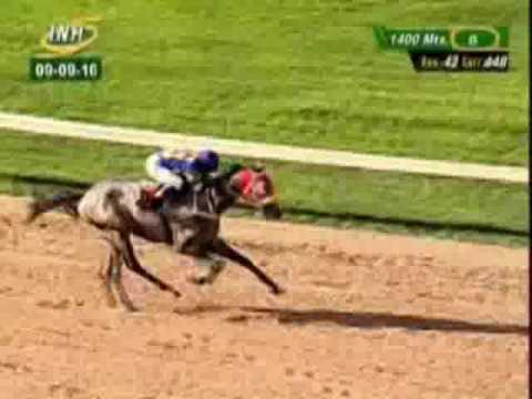 Resumen Viernes, 09 de Septiembre de 2016 - Valencia