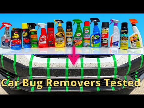 Bug Removers for Cars Tested (Before and After Comparisons)