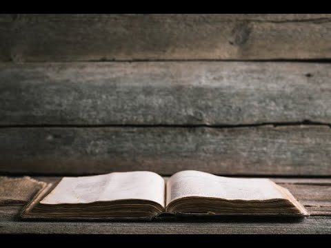 Romans 11:13-24 (Teaching)