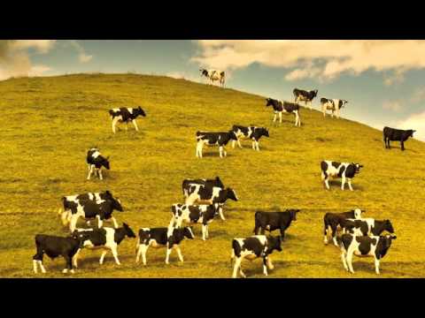 FJORALBA - Vashat - les Vaches (Fjoralba Turku, Vanesa Garcia, Karsten Hochapfel)