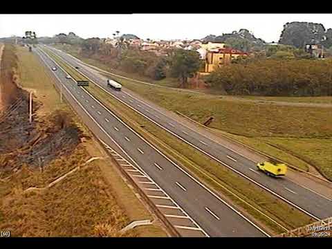 Tucano curioso é flagrado em rodovia por câmera de monitoramento