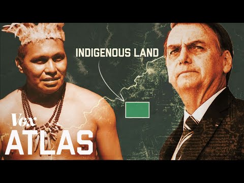 巴西的土著土地正在被入侵 (Brazil's indigenous land is being invaded)