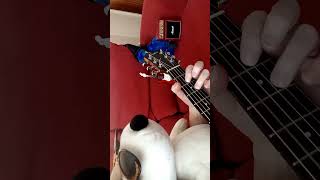 Hawkwind - &#39;Silver Machine&#39; cover (Epic Guitar 🎸 Duel Part 7)