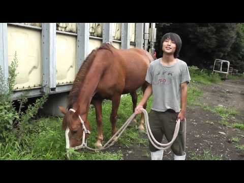 麻布大学レポート　＃0