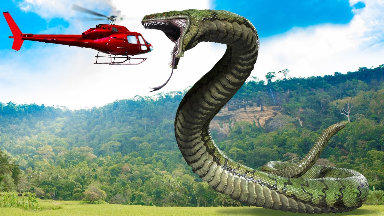 Animais Pré-Históricos Mais Assustadores Que Os Dinossauros