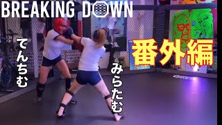 とうとう戦ったてんちむ