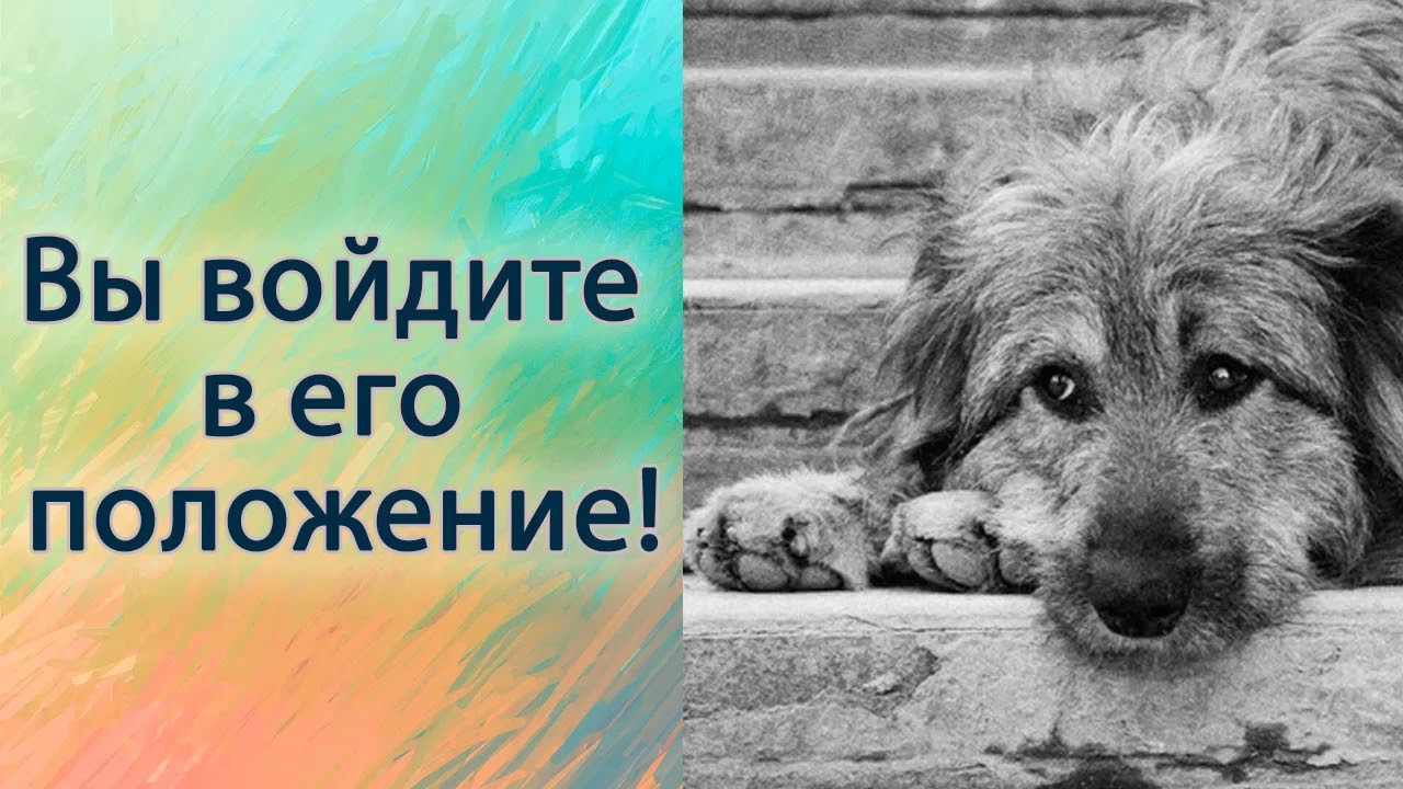 Вы войдите в его положение!
