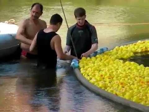 1200 Plastikenten starteten beim Rotenburger Strandfest