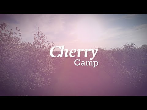Cherry Camps