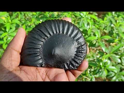 Vighnaharta Mangal Murti Lord Ganesha Supreme God Shaligram Shila Stone Carved Murti video