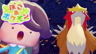 ゆめしまで伝説ポケモン「エンテイ」発見！【ぽこ あ ポケモン】#26