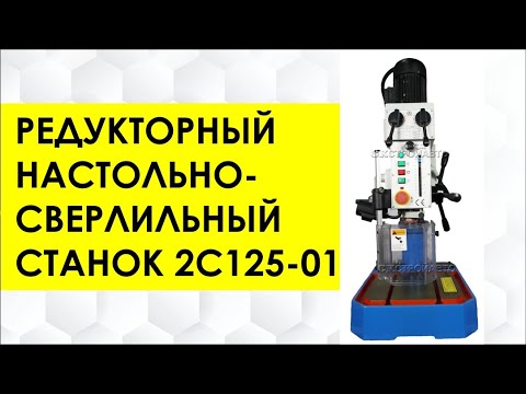 Станок редукторный настольно-сверлильный 2С125-01 