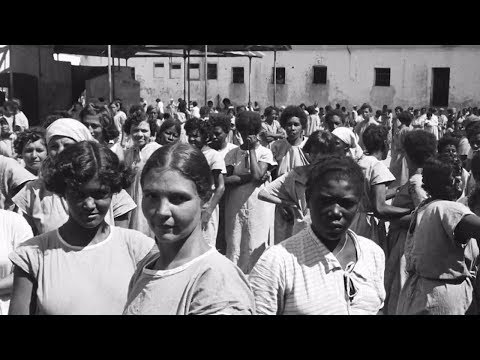 The Brazilian Holocaust