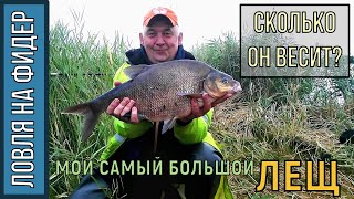 Где ловят леща в калининградской области