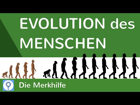 download lagu mp3 mp4 Vom Affen Zum Menschen, download lagu Vom Affen Zum Menschen gratis, unduh video klip Vom Affen Zum Menschen