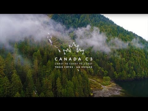 Spirit Bears | Les ours kermode