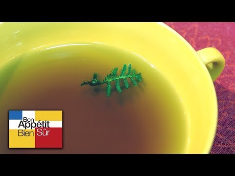 [Recette] Consommé de Champignon - Chef Serge Viera