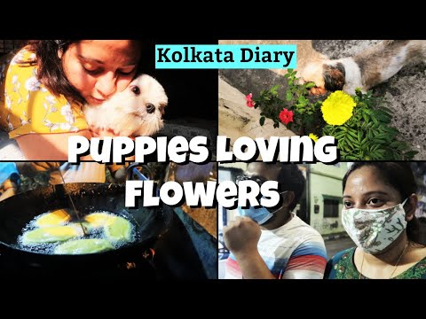 Puppies Loving Flowers