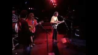 Neil Young and Crazy Horse - Farmer John (Live at Farm Aid 1994)