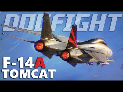 F-14A Tomcat Vs F-14B Dogfight First Impressions | Digital Combat Simulator | DCS |