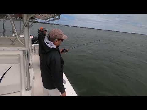 2022 Fluke Subscriber Contest!  Plus, Highlights from Best Peconic Bay Trip in 3 Years!